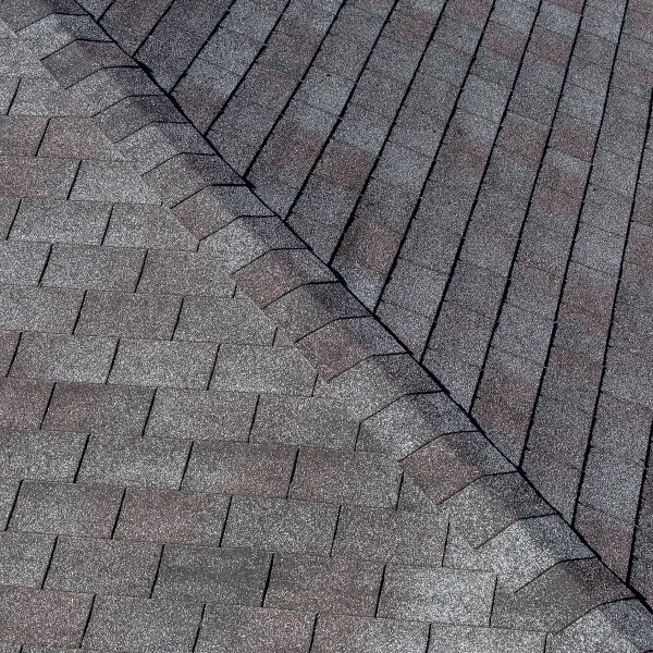 An image showing asphalt shingle roofing on a commercial building.