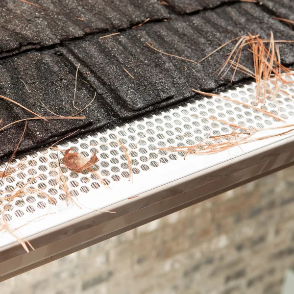 An image showing gutter guards preventing debris from blocking gutters.