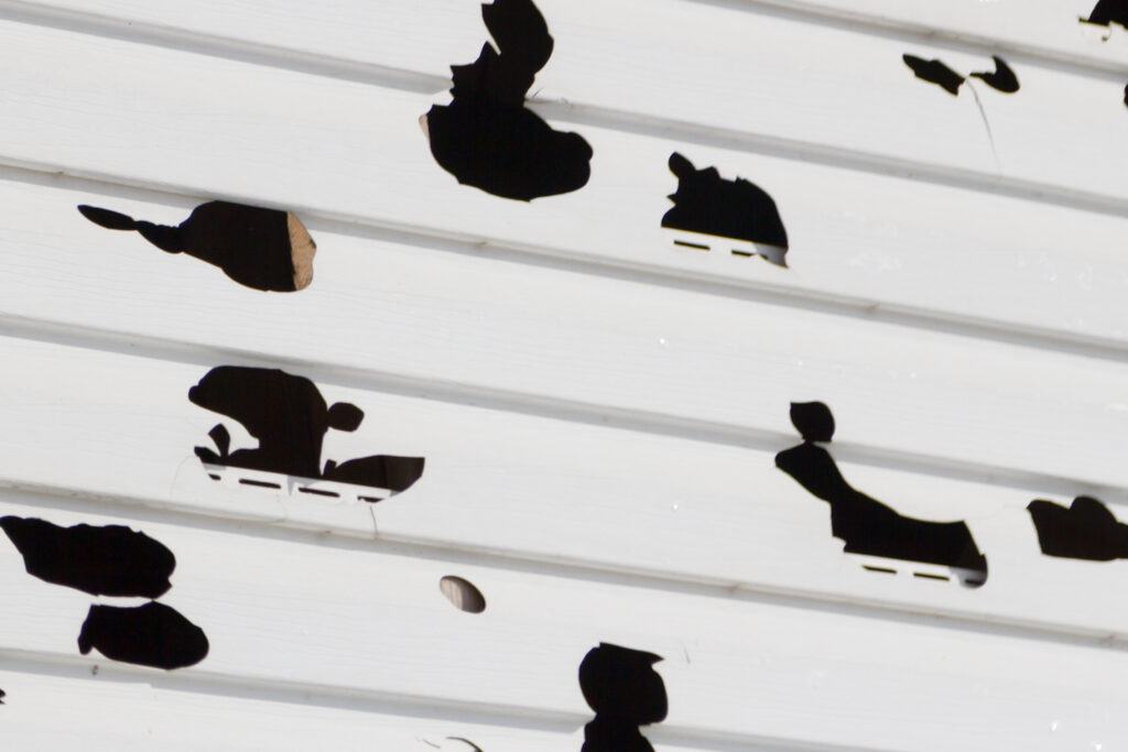 House Siding San Antonio