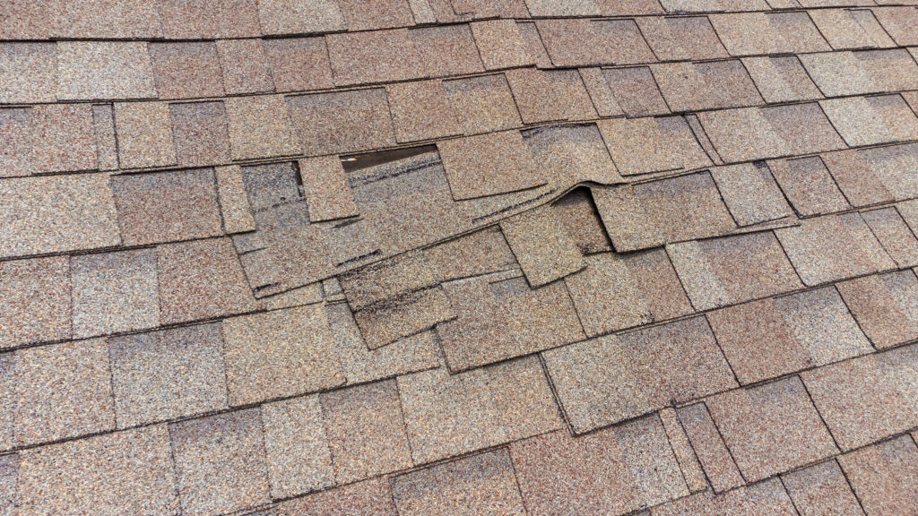 New Braunfels Roof Repair